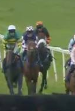 Called horse 436