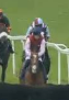 Called horse 431