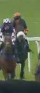 Called horse 436