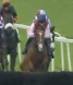 Called horse 431