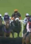 Called horse 436