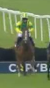 Called horse 433
