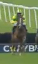 Called horse 433