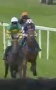 Called horse 459