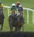 Called horse 459
