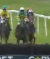 Called horse 459