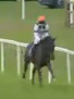 Called horse 434