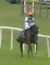 Called horse 434