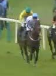 Called horse 459