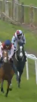Called horse 483