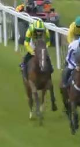 Called horse 487