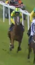Called horse 487