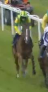 Called horse 487
