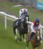Called horse 492