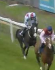Called horse 492