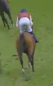 Called horse 498