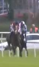 Called horse 509