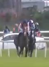 Called horse 509