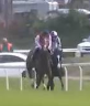 Called horse 509