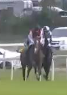 Called horse 509