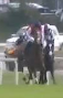 Called horse 509