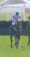 Called horse 534