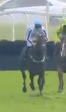 Called horse 534