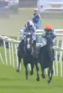 Called horse 533