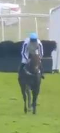 Called horse 534
