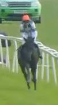 Called horse 556