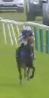 Called horse 561