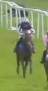 Called horse 561