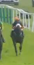 Called horse 570