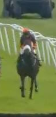 Called horse 570