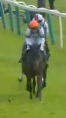 Called horse 579