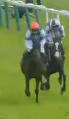 Called horse 579