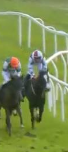 Called horse 583