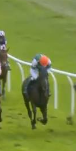 Called horse 579