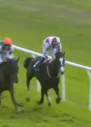 Called horse 583