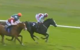 Called horse 583