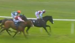 Called horse 583