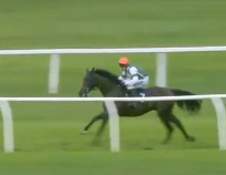 Called horse 610