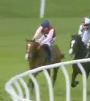 Called horse 615