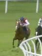 Called horse 615