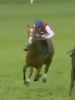 Called horse 615