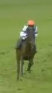 Called horse 615