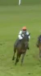 Called horse 615