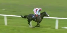 Called horse 614