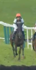 Called horse 626