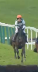 Called horse 626